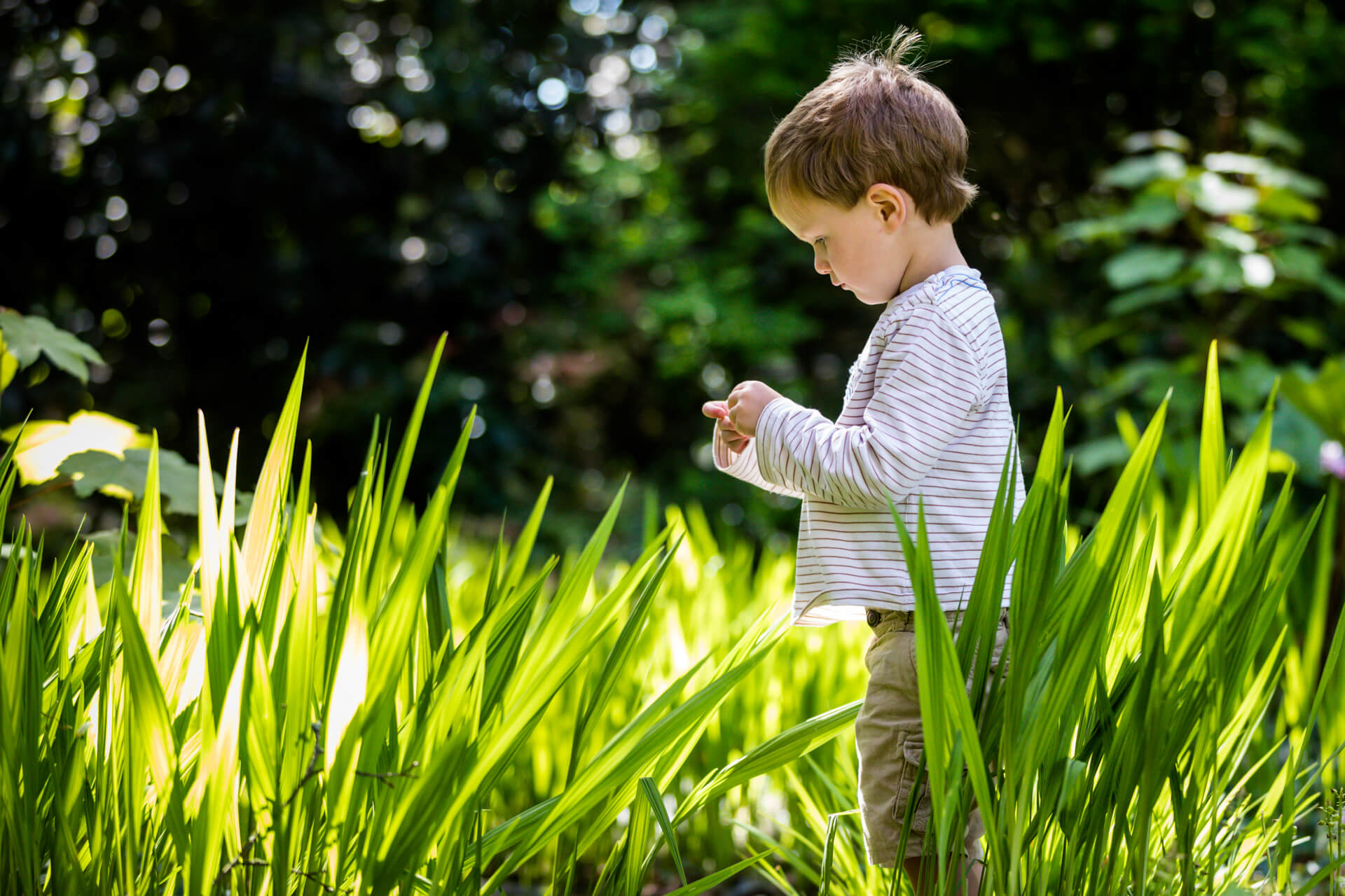 A young boy standing in tall grass.