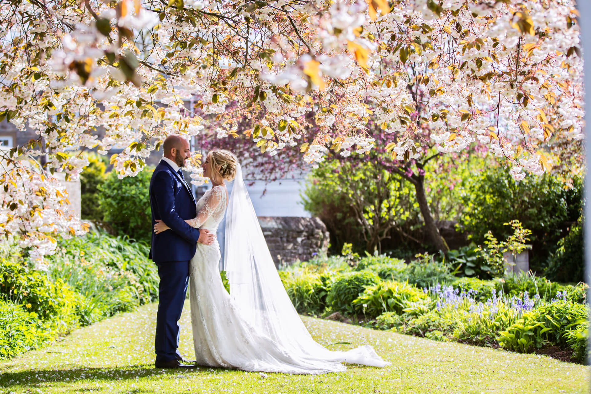 Lake District Wedding Photographer - couple under blossom trees