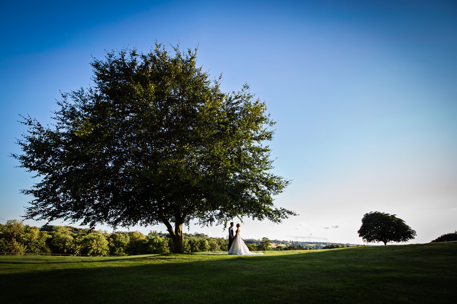Wood Hall Hotel Wedding Photography - Couple under a tree