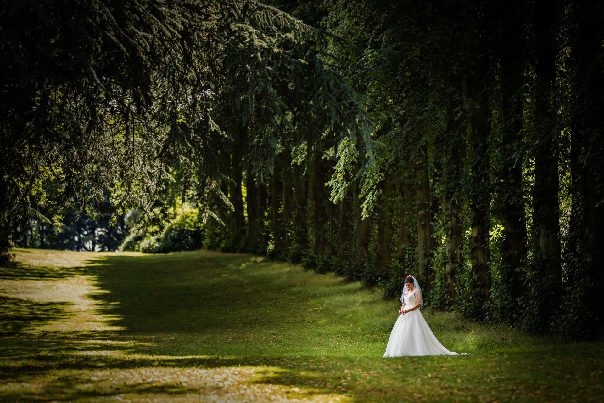 bride stands below a column of trees in a Leeds Park