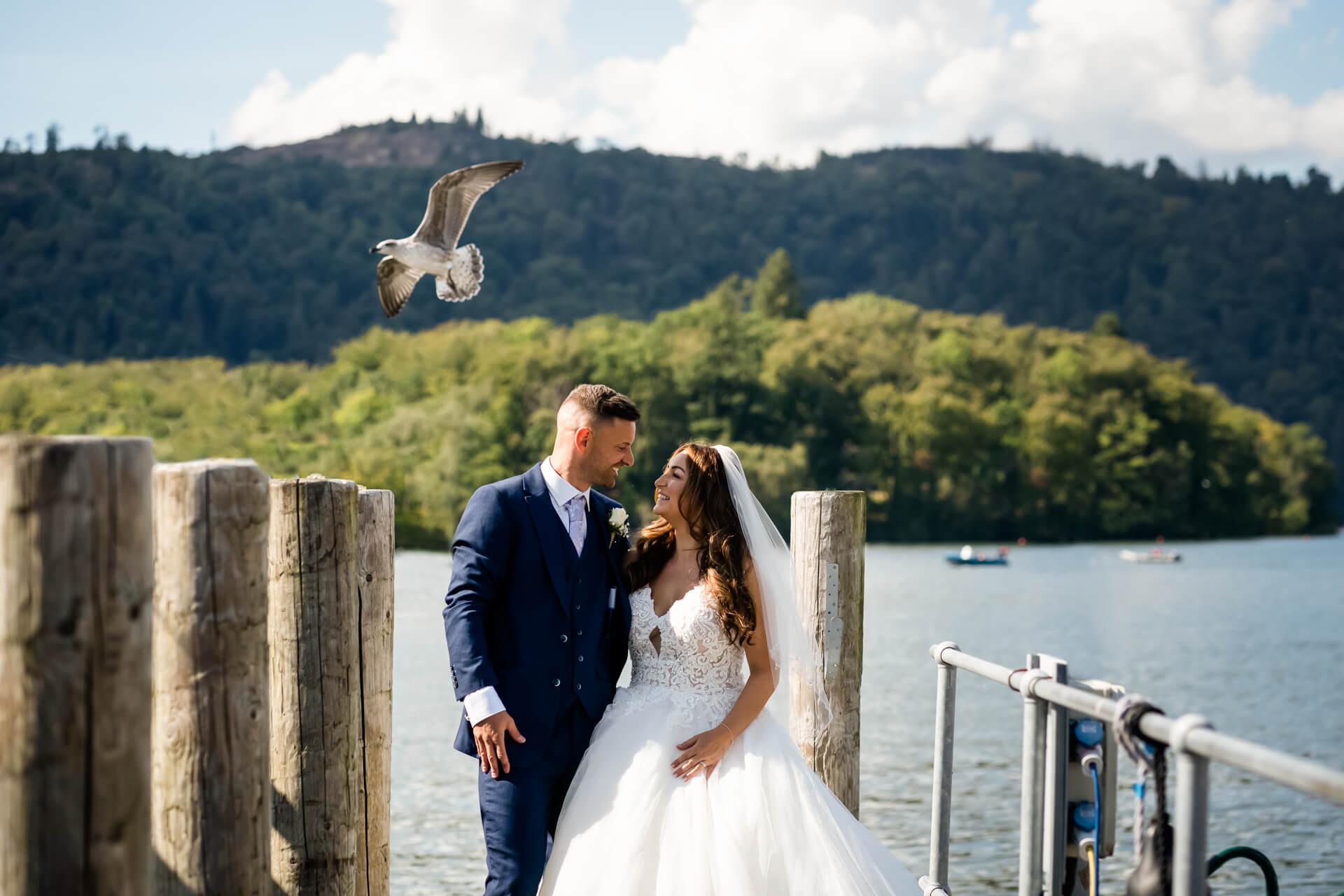 wedding couple standing on Windermere shore with a seagull flying past
