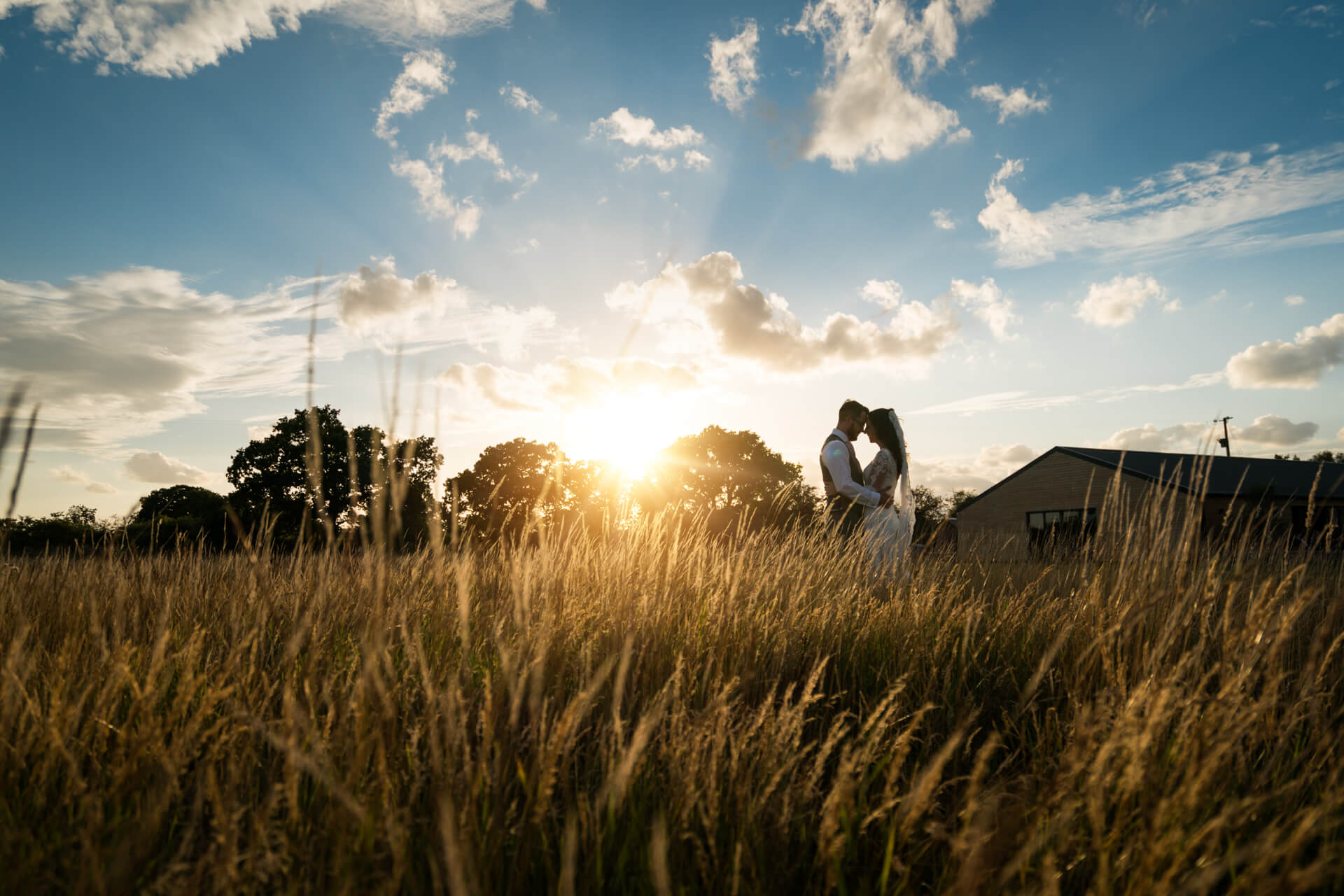 wedding couple in a field at sunset