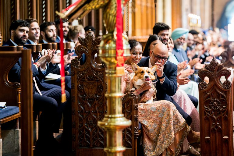 Guests and dog at multicultural wedding celebration.