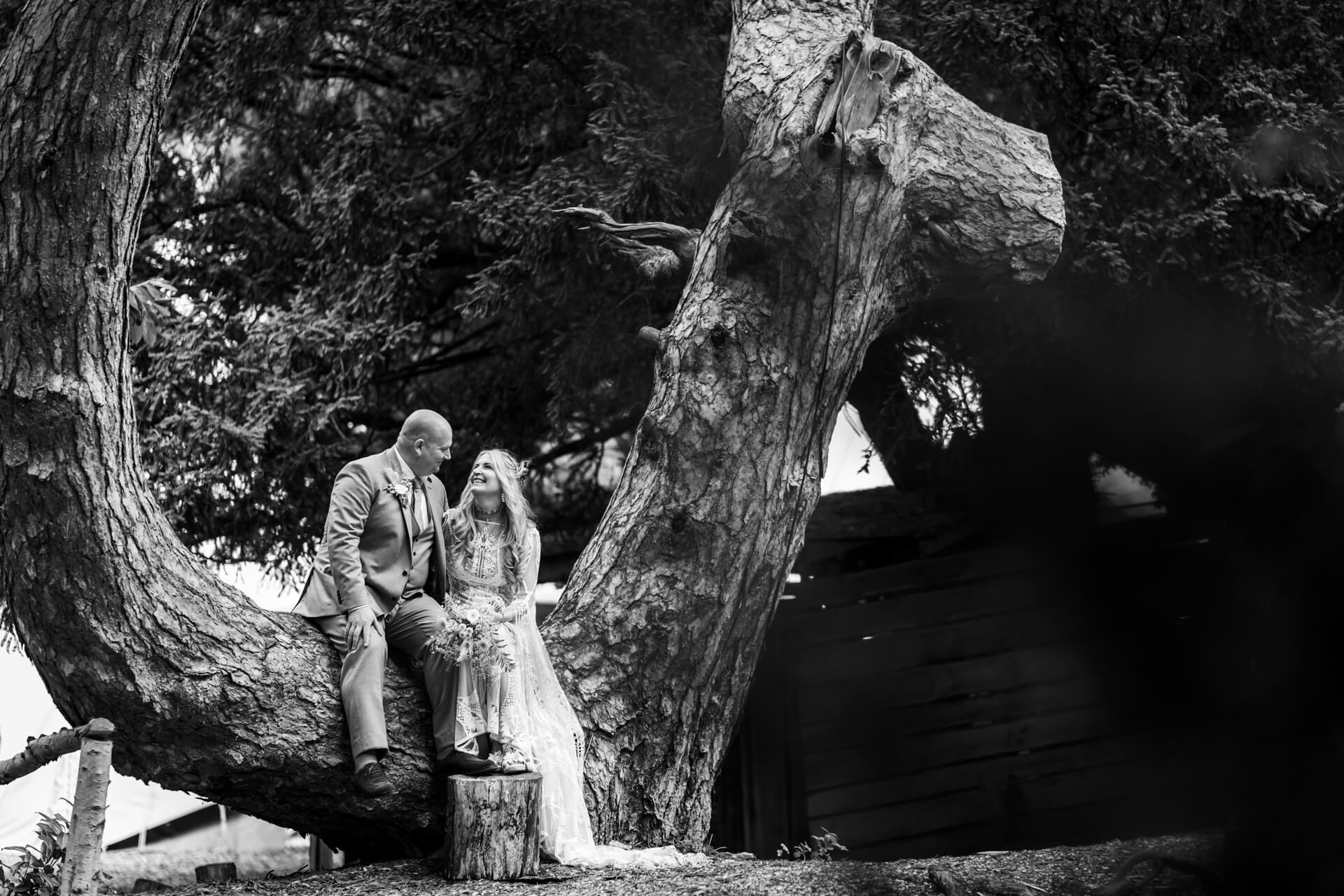 Couple sitting on a tree at Hazlewood Castle, black and white photo