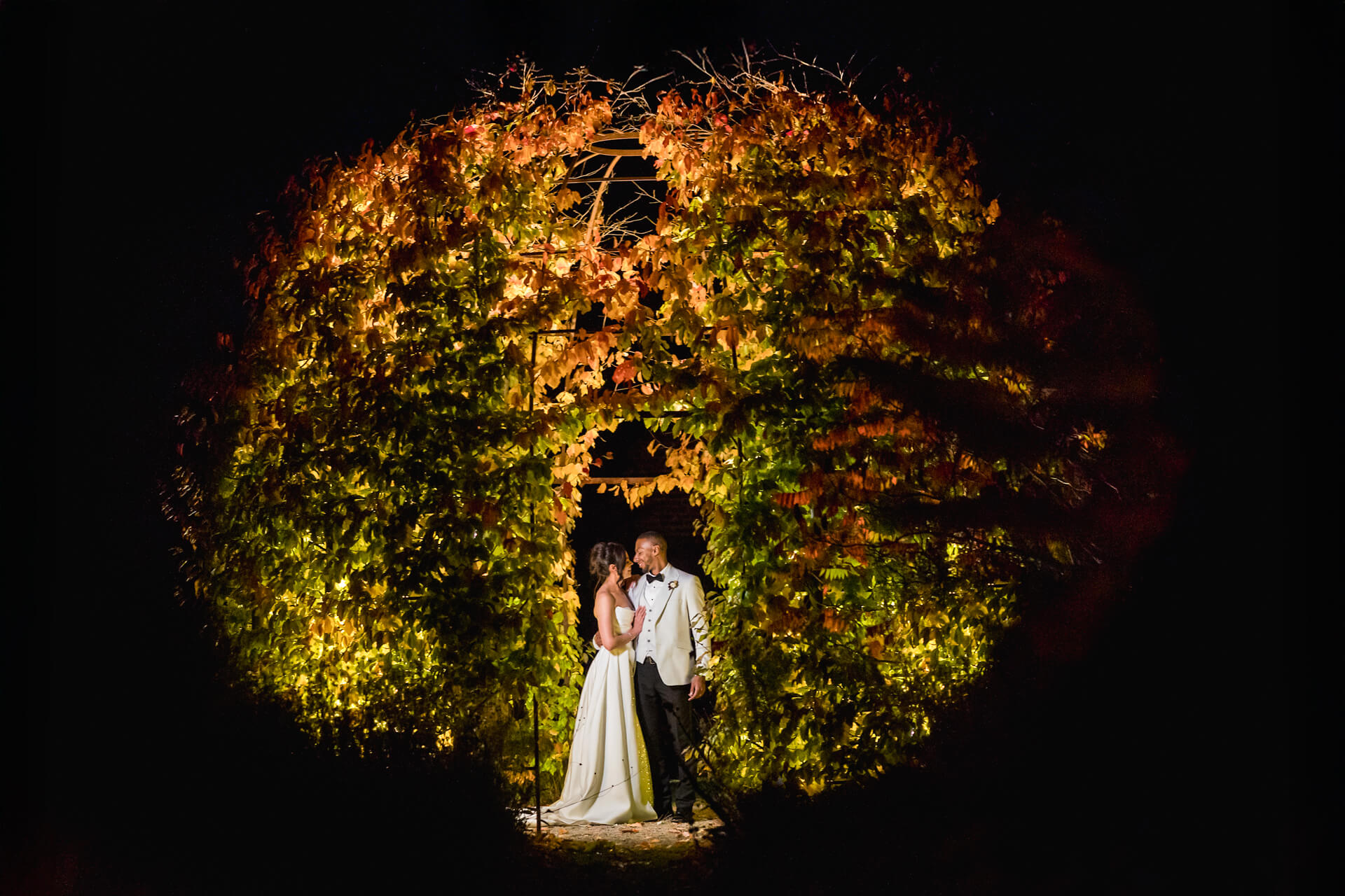 Couple under illuminated foliage at night