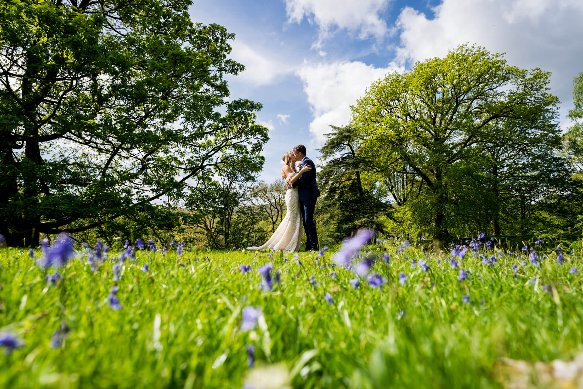 Couple embracing in sunny green meadow